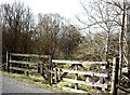 An access double gate to woodland scrub