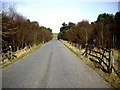 A minor road through Gask Wood