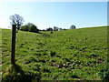 Dried-up stream near Great Lordings Wood