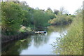 Former main channel of the River Severn at Upper Lode