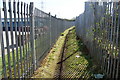 SD6924 : Footpath between industrial and commercial units in Lower Darwen by Bill Boaden