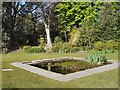 Pond in Manor Gardens