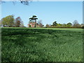 Wheat field near Harsfold Manor