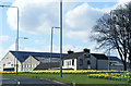 Daffodils at Inchinnan