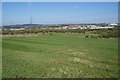 Grassy field south of Blackburn