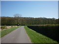 Kexby Road towards Big Wood