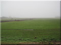NZ0277 : Turf Farming near Kirkheaton by Les Hull