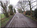 Drive and Footpath towards Boghall