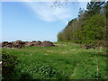 Muck and machinery beside The Four Acres