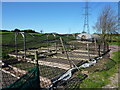 Well-protected vegetable plot