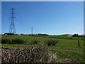 Hedge, fields and pylons