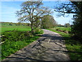SU7358 : Hampshire lane in spring by Mr Ignavy