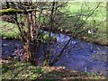 Bonny Water and Red Burn confluence