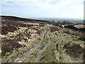 SD6713 : Moorland path on Winter Hill by Philip Platt