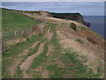 NZ9308 : Cleveland Way towards Whitby by JThomas