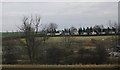 Static homes at Eastfield Farm