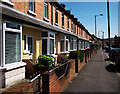 Terraced housing, Belfast