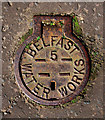 Belfast Water Works cover