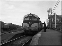 W2692 : Millstreet railway station by The Carlisle Kid