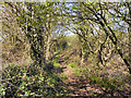 Sefton Coastal Path