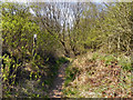 The Sefton Coastal Path