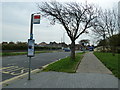 TQ1304 : Bus stop in Rectory Road by Basher Eyre