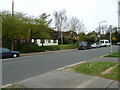 Rectory Road in early April