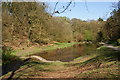 Pond in Sunnyhurst Wood