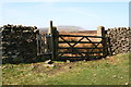 Gate onto the open moor