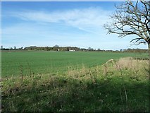 SP9309 : Wick Farm across fields by Rob Farrow