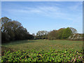 Hop Garden Meadow