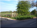 Public Footpath - Sandhill