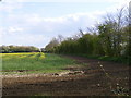 Footpath to the A1120 High Road