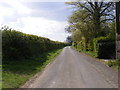 TM3169 : Redhouse Road, Badingham by Geographer