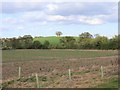 View NE from Warwick Road, Norton Lindsey