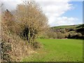 Field Outside East Cornworthy