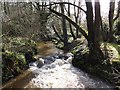 Stream near East Cornworthy