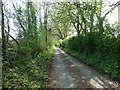 Road and footpath south to Little Daux Farm