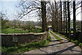 The tree-lined entrance to Spout House Farm