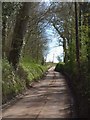 Lane to Bittery Cross