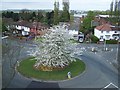 Roundabout At Newbolds