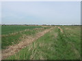 Footpath to Old Downs Farm