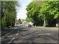 Harrow Road at Barham Park