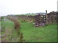 Kissing gate near not so Sunny Bank