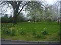 Green along the A40 by North Drive