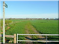 Footpath to Forthampton