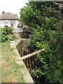 Tributary of the St. James Stream south of Woodmere Avenue, CR0 (2)