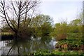 The River Cherwell at Sunnymead