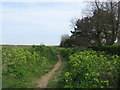 Footpath to Sandown Castle