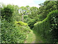 Path into Spring Park Wood